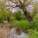 Pannonia Апартаменты Сентендре