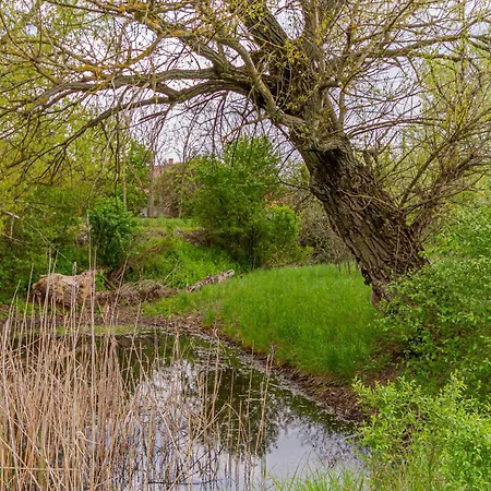 Pannonia Διαμέρισμα Szentendre